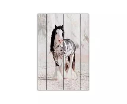 Картина на дереве Ирландская лошадь 40х60 см (Белый, 40)