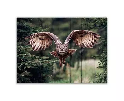 Картина на дереве Летящая сова 60х90 см (Зеленый, 60)