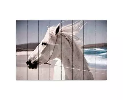 Картина на дереве Лошадь на побережье 60х90 см (Фиолетовый, 60)