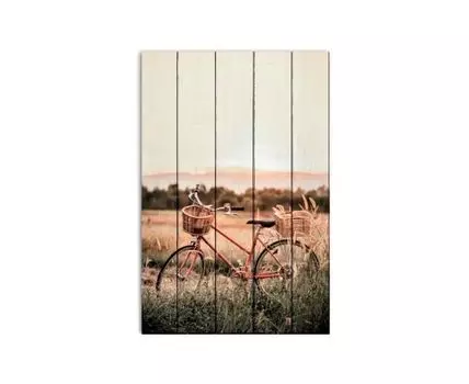 Картина на дереве Велосипед в поле 60х90 см (Бежевый, 60)