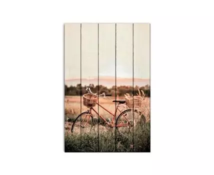 Картина на дереве Велосипед в поле 80х120 см (Бежевый, 80)