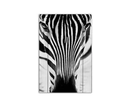 Картина на дереве Зебра 1 80х120 см (Белый, 80)