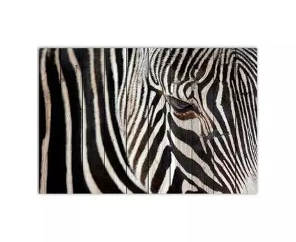 Картина на дереве Зебра 2 100х150 см (Белый, 100)
