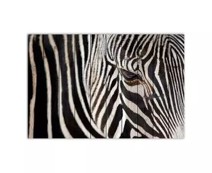 Картина на дереве Зебра 2 80х120 см (Белый, 80)