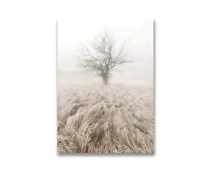Картина на холсте Дерево в тумане
