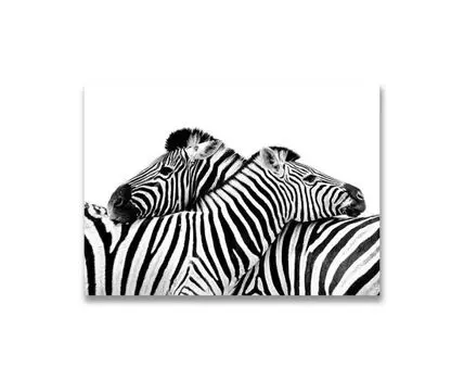 Картина на холсте Две зебры