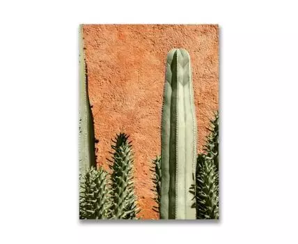 Картина на холсте Кактусы