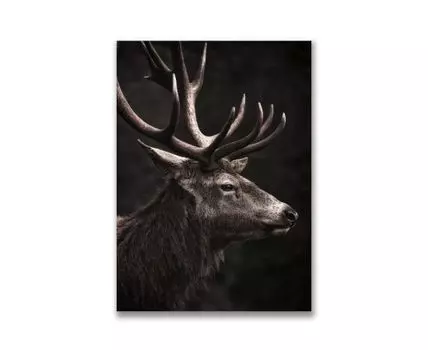 Картина на холсте Олень №3