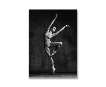 Картина на холсте Равновесие