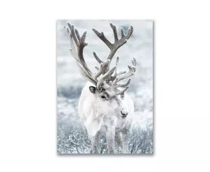 Картина на холсте Северный олень №2