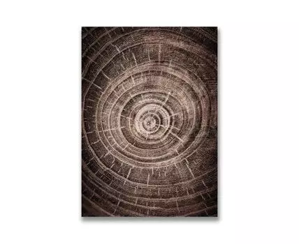 Картина на холсте Срез дерева