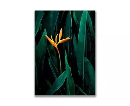Картина на холсте Тропический цветок