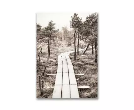 Картина на холсте Тропинка в лес