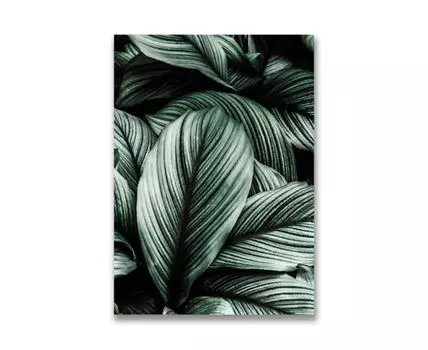 Картина на холсте Зеленые листья №2