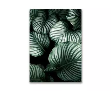 Картина на холсте Зеленые листья №3