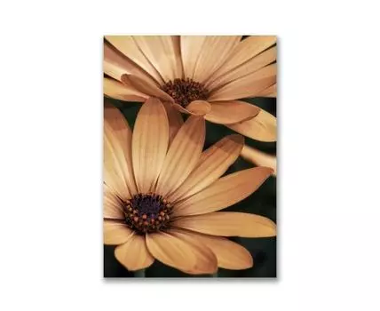 Картина на холсте Желтые цветы