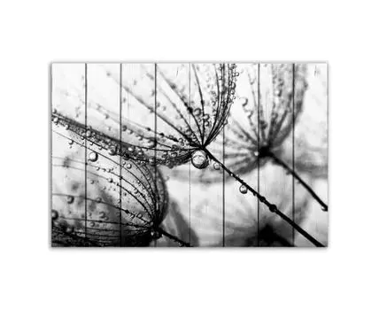 Картина Одуванчики