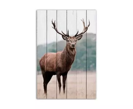 Картина Олень