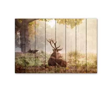 Картина Олень в лесу