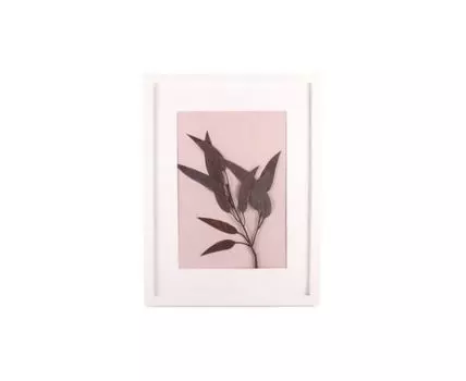 Картина-панно с эвкалиптом (Розовый, 20)