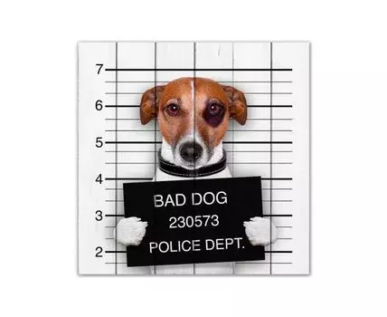 Картина Плохая собака