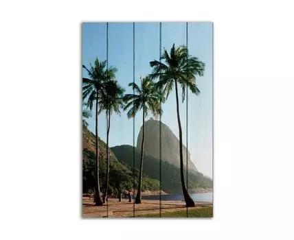 Картина Побережье Рио-де-Жанейро