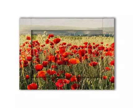 Картина Поле маков