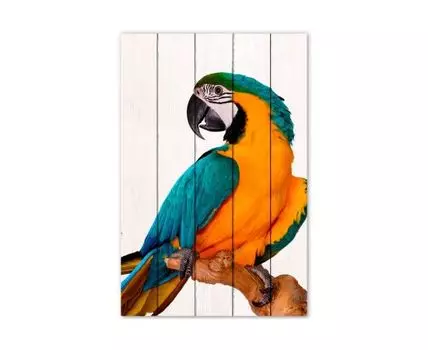 Картина Попугай