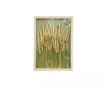 Картина с пшеницей (бежевый, зеленый, 21)
