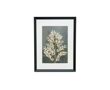 Картина с рускусом итальянским (черный, белый, 30)