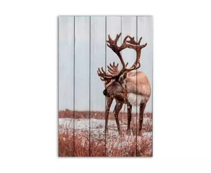 Картина Северный олень