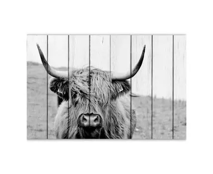 Картина Шотландская корова
