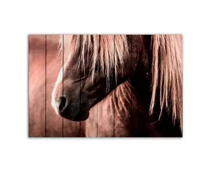 Картина Скандинавская лошадь