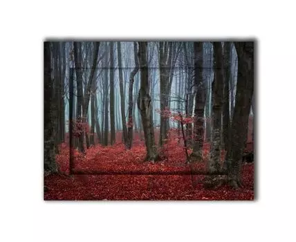 Картина Сказочный лес