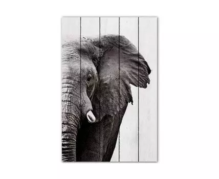 Картина Слон Ч/Б