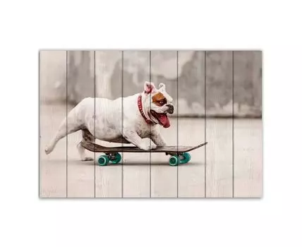 Картина Собака на скейте