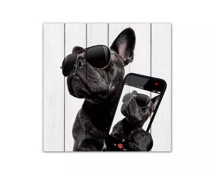 Картина Собака с телефоном