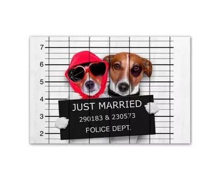 Картина Собаки Молодожены