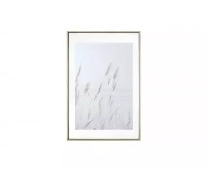 Картина в раме Spica