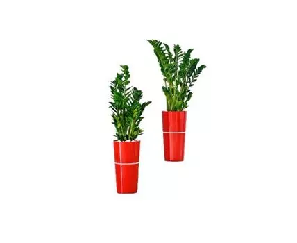 Кашпо Дубле d29 h55 красный