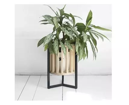 Кашпо Куг в натуральном цвете березы (34)