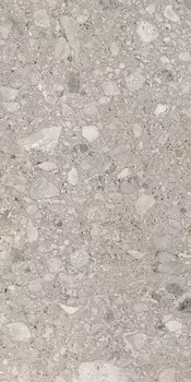 Керамогранит 0008674 CENERE NAT RET 120х280
