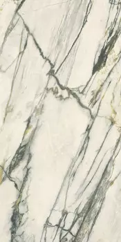 Керамогранит 0009069 Treasure Calacatta Emerald Nat Ret