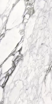 Керамогранит 0500867 TWS CALACATTA RENOIR LX RT 59,6x119,2