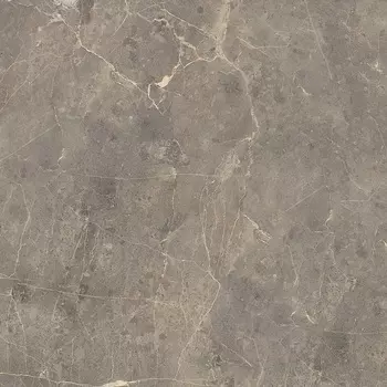 КЕРАМОГРАНИТ 89195 Grigio Imperiale pav. matt