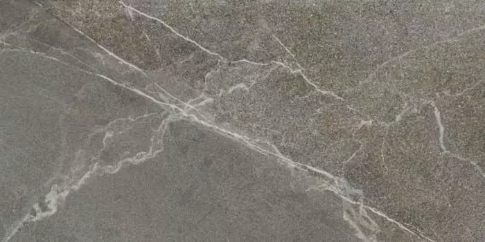 Керамогранит Диккенс натуральный (6260-0224)