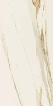 КЕРАМОГРАНИТ T622545 FORTE MATT