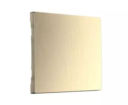 Клавиша для выключателя перекрестного Werkel WL10-SW-1G-C-CP