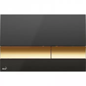 Кнопка управления (Черная/золотая), арт. M1728-5