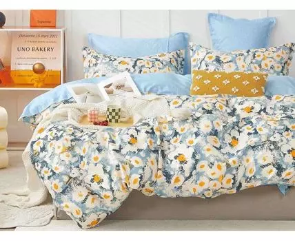 Комплект постельного белья Глазурь (Мультицвет)